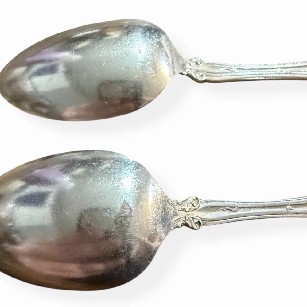 1847 Rogers‎ Bros VINTAGE Grapes 1904 Silverplate - Lot of (2) Serving Spoons